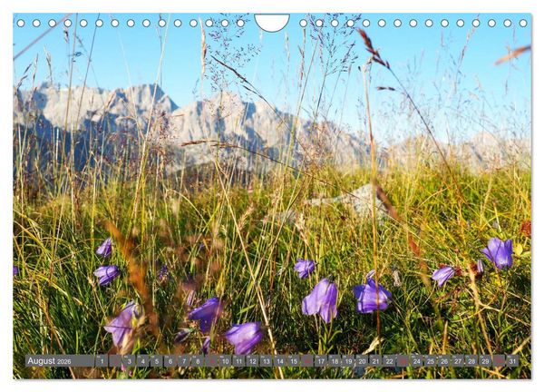 Produktbild: Flora der Alpen (Wandkalender 2026 DIN A4 quer), CALVENDO Monatskalender