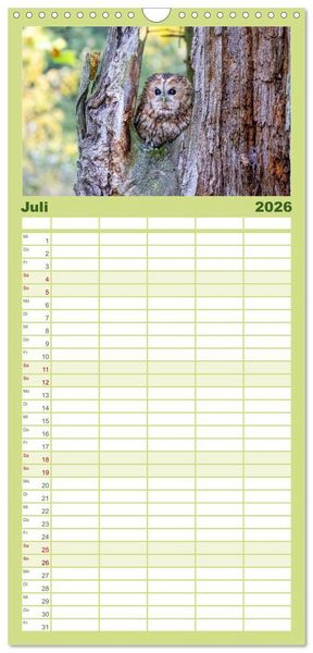 Produktbild: Familienplaner 2026 - Europas Greifv&ouml;gel und Eulen mit 5 Spalten (Wandkalender, 21 x 45 cm) CALVENDO