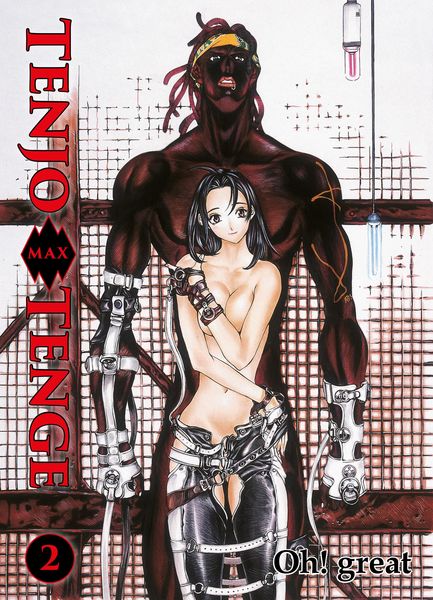 Produktbild: Tenjo Tenge Max, Band 2