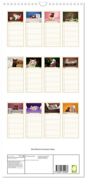 Produktbild: Familienplaner 2027 - Die Britisch Kurzhaar Katze mit 5 Spalten (Wandkalender, 21 x 45 cm) CALVENDO