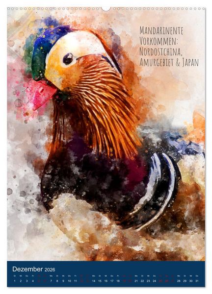 Produktbild: Exotische V&ouml;gel - Die Sch&ouml;nsten der Welt in Aquarell (Wandkalender 2026 DIN A2 hoch), CALVENDO Monatskalender