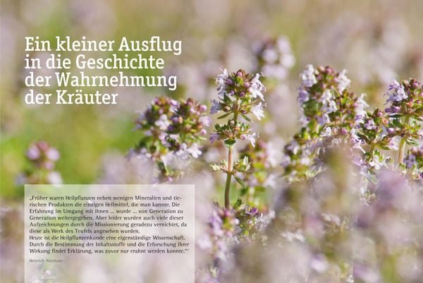 Produktbild: Südtiroler Kräuterfrauen