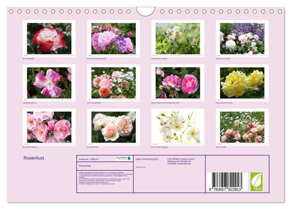 Produktbild: Rosenlust (Wandkalender 2026 DIN A4 quer), CALVENDO Monatskalender