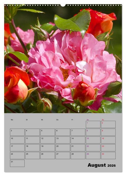 Produktbild: Rosen - Symbol der Liebe und Verehrung (Wandkalender 2026 DIN A2 hoch), CALVENDO Monatskalender