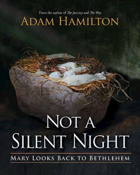 Produktbild: Not a Silent Night
