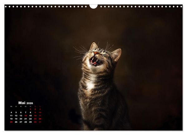 Produktbild: Auch Katzen lachen gern (Wandkalender 2026 DIN A3 quer), CALVENDO Monatskalender