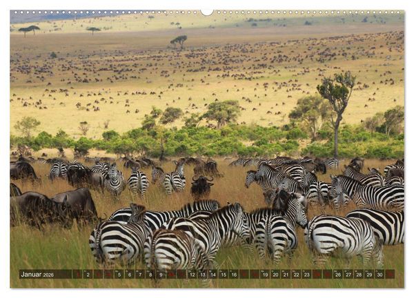 Produktbild: Afrika - Zauber der Wildnis (hochwertiger Premium Wandkalender 2026 DIN A2 quer), Kunstdruck in Hochglanz