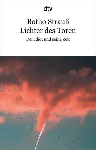 Lichter des Toren, Taschenbuch von Botho Strauß, dtv, 9783423148627