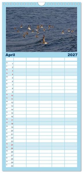 Produktbild: Familienplaner 2027 - V&ouml;gel im Flug - Akrobaten der L&uuml;fte mit 5 Spalten (Wandkalender, 21 x 45 cm) CALVENDO