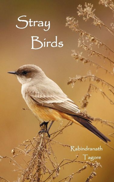 Produktbild: Stray Birds