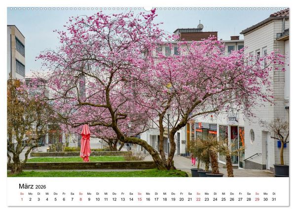 Produktbild: Kassel - Morgenlicht (Wandkalender 2026 DIN A2 quer), CALVENDO Monatskalender