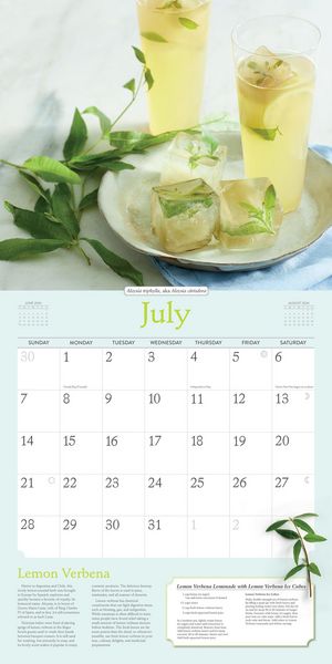 Produktbild: Gladstar, R: Rosemary Gladstar's Herbs Wall Calendar 2024