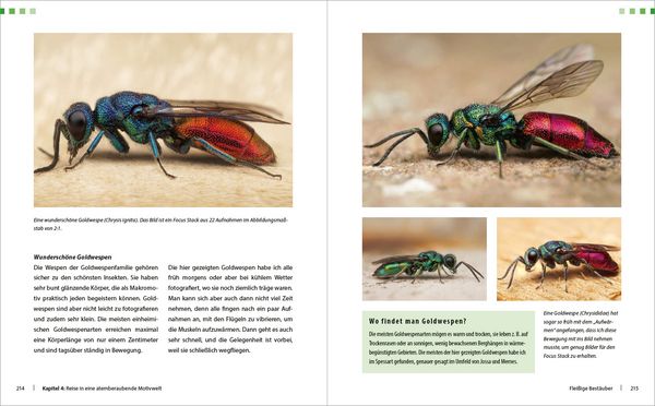 Produktbild: Extreme Wildlife-Makrofotografie