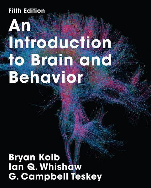 Produktbild: Kolb, B: An Introduction to Brain and Behavior