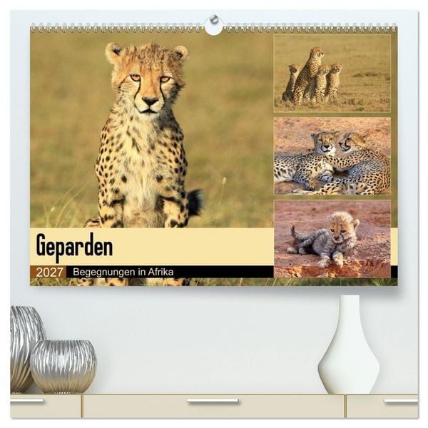 Produktbild: Geparden - Begegnungen in Afrika (hochwertiger Premium Wandkalender 2027 DIN A2 quer), Kunstdruck in Hochglanz
