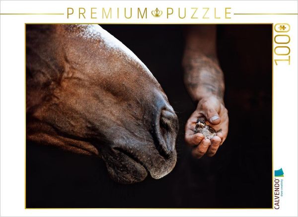 CALVENDO Puzzle Pferdemaul küsst Vogelbaby | 1000 Teile Lege-Größe 64x48cm Foto-Puzzle für glückliche Stunden