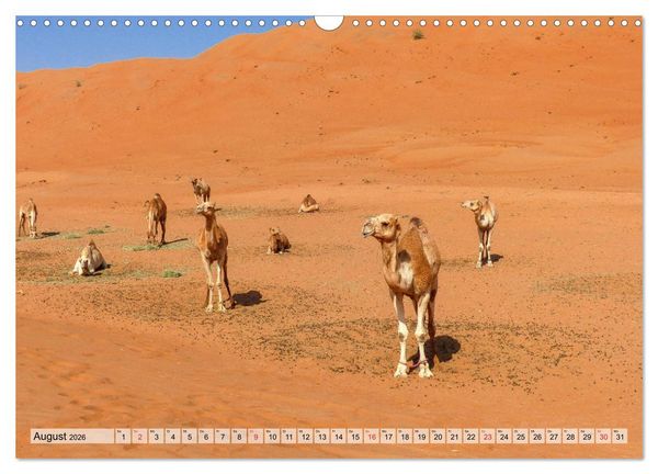 Produktbild: Oman - Zauberhafte Landschaften (Wandkalender 2026 DIN A3 quer), CALVENDO Monatskalender