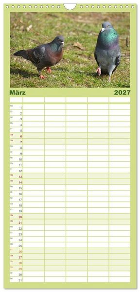 Produktbild: Familienplaner 2027 - Tauben in der Stadt mit 5 Spalten (Wandkalender, 21 x 45 cm) CALVENDO