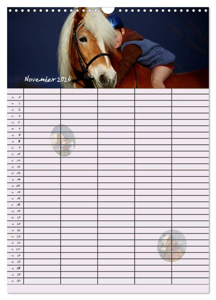 Produktbild: Haflinger Pferde - Stall- und Familienplaner 2026 (Wandkalender 2026 DIN A3 hoch), CALVENDO Monatskalender