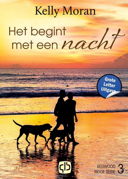Produktbild: Het begint met een nacht