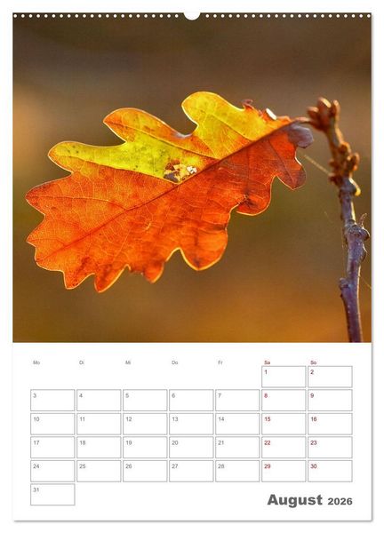 Produktbild: Planen mit dem Symbol der inneren St&auml;rke (Wandkalender 2026 DIN A2 hoch), CALVENDO Monatskalender