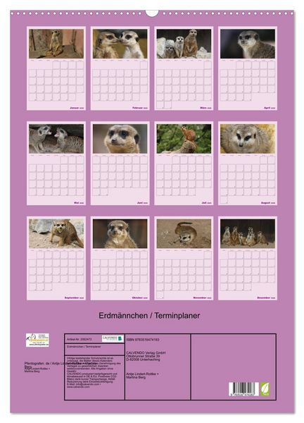 Produktbild: Erdm&auml;nnchen / Terminplaner (Wandkalender 2026 DIN A2 hoch), CALVENDO Monatskalender