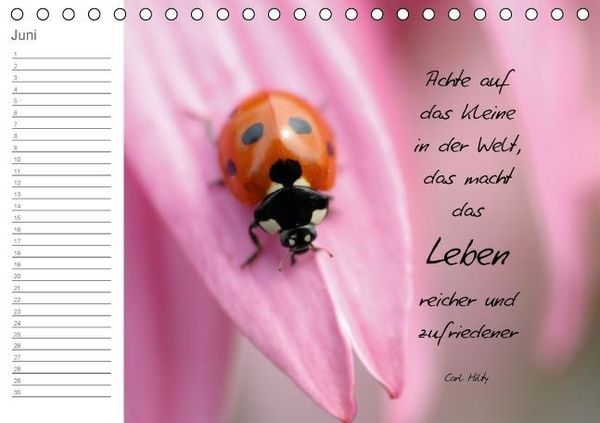 Produktbild: LEBENSGL&Uuml;CK (Tischkalender immerw&auml;hrend DIN A5 quer)