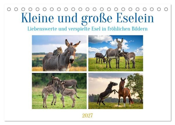 Produktbild: Kleine und gro&szlig;e Eselein (Tischkalender 2027 DIN A5 quer), CALVENDO Monatskalender