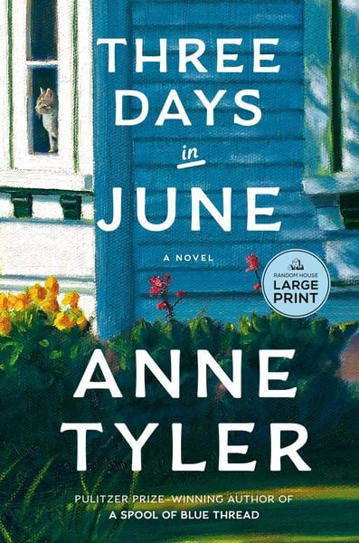 Produktbild: Three Days in June