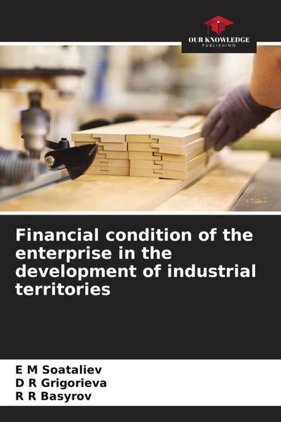 Produktbild: Financial condition of the enterprise in the development of industrial territories