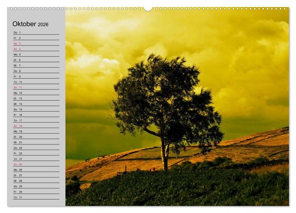 Produktbild: Magische B&auml;ume (Wandkalender 2026 DIN A2 quer), CALVENDO Monatskalender