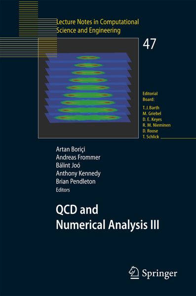 Produktbild: QCD and Numerical Analysis III