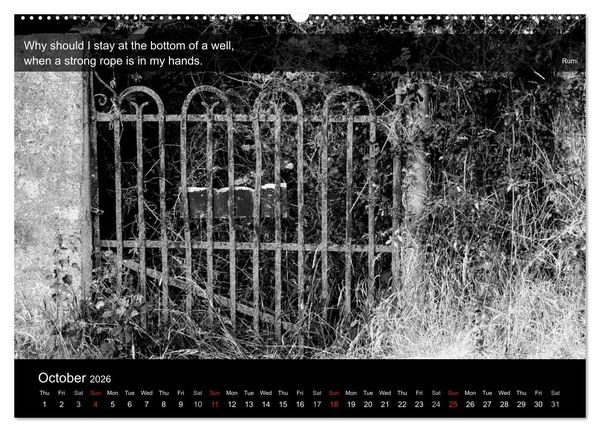 Produktbild: Through the Gate with Rumi (High Quality Premium Wall Calendar 2026 DIN A2 landscape),CALVENDO 12 Month Wall Calendar