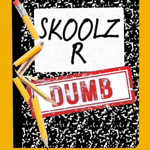 Skoolz R Dumb - Alida Davis Abdullah, Audio, 9781965655726