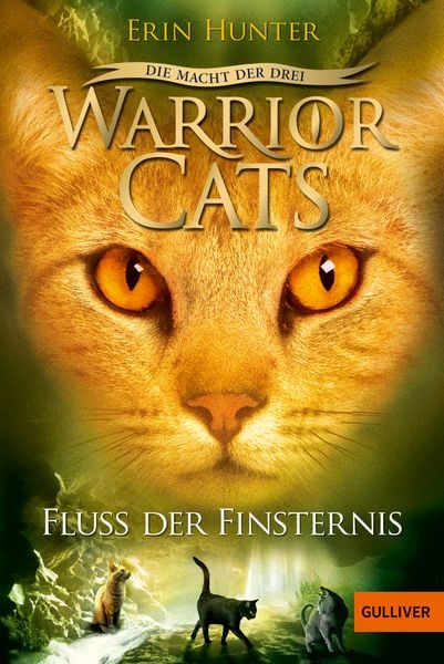 Cover of the book Warrior Cats - Die Macht der Drei. Fluss der Finsternis