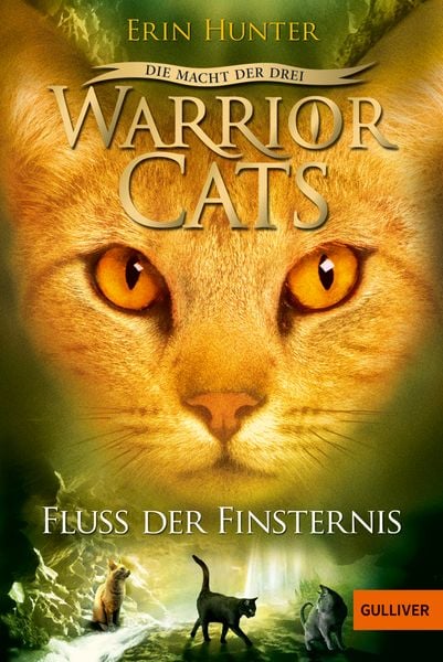 Warrior Cats - Die Macht der Drei. Fluss der Finsternis, Taschenbuch von Erin Hunter, Julius Beltz GmbH & Co. KG