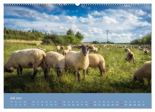 Produktbild: Kronsberg Hannover (hochwertiger Premium Wandkalender 2026 DIN A2 quer), Kunstdruck in Hochglanz