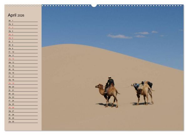 Produktbild: Kamele in der W&uuml;stensonne (hochwertiger Premium Wandkalender 2026 DIN A2 quer), Kunstdruck in Hochglanz