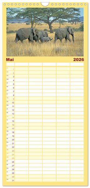 Produktbild: Familienplaner 2026 - Elefanten in der Serengeti mit 5 Spalten (Wandkalender, 21 x 45 cm) CALVENDO
