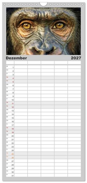 Produktbild: Familienplaner 2027 - Die Augen der Wildnis mit 5 Spalten (Wandkalender, 21 x 45 cm) CALVENDO