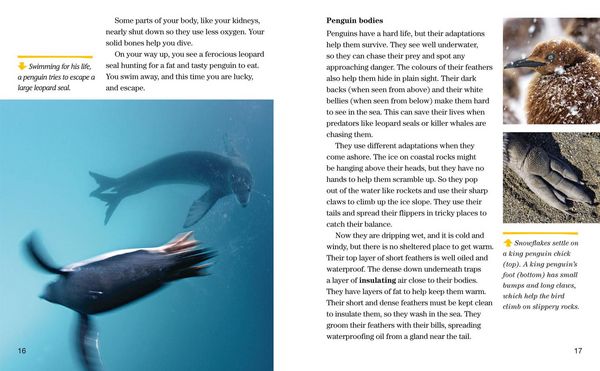 Produktbild: Nat Geo Reader Penguins