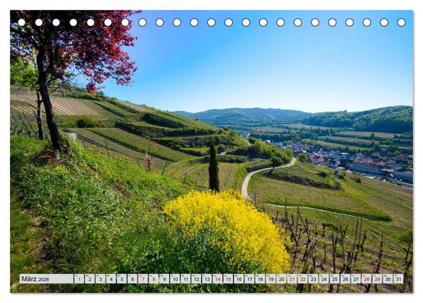 Produktbild: Weinregion Kaiserstuhl (Tischkalender 2026 DIN A5 quer), CALVENDO Monatskalender