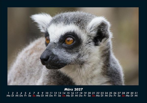 Produktbild: Welt der Tiere 2027 Fotokalender DIN A4