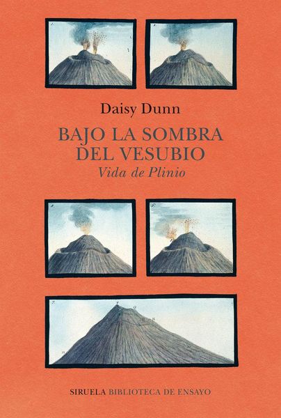 Produktbild: Bajo la sombra del Vesubio