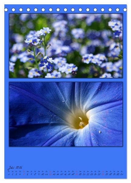Produktbild: Farbtupferl der Natur (Tischkalender 2026 DIN A5 hoch), CALVENDO Monatskalender