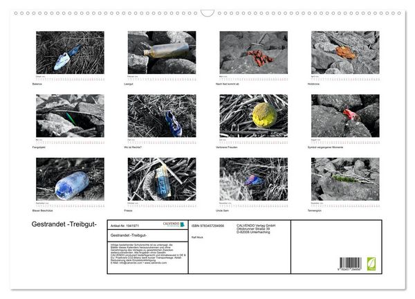 Produktbild: Gestrandet -Treibgut- (Wandkalender 2026 DIN A2 quer), CALVENDO Monatskalender