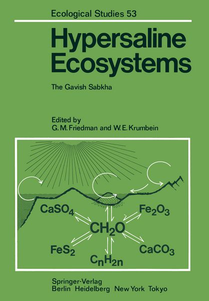 Produktbild: Hypersaline Ecosystems