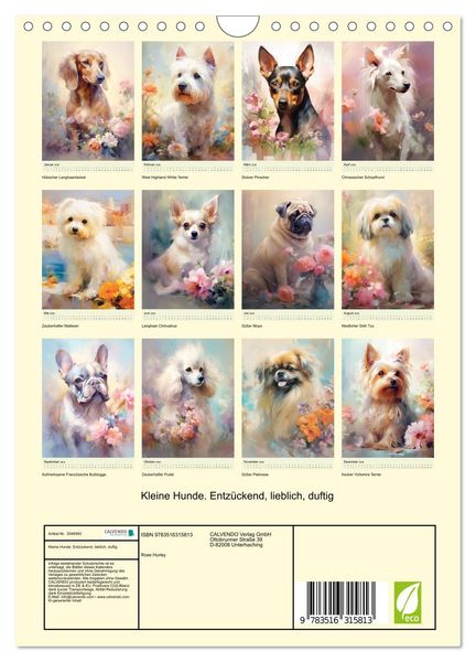 Produktbild: Kleine Hunde. Entz&uuml;ckend, lieblich, duftig (Wandkalender 2026 DIN A4 hoch), CALVENDO Monatskalender