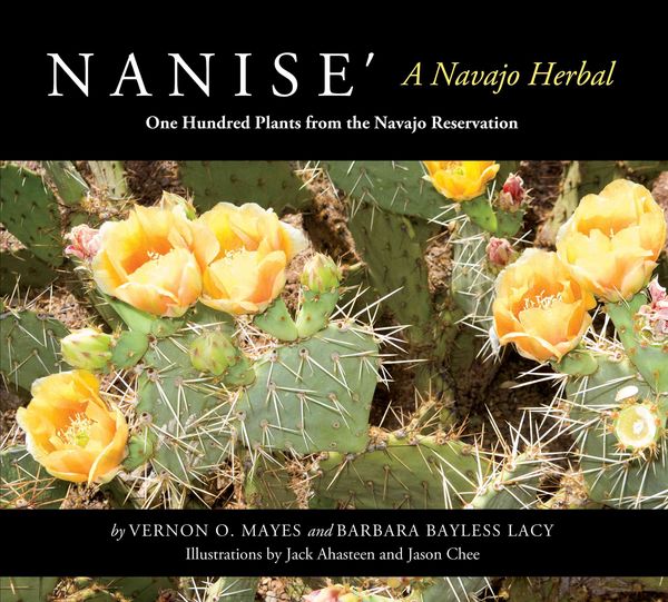 Produktbild: Nanise a Navajo Herbal