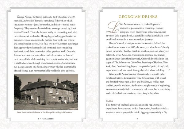 Produktbild: Gin Austen